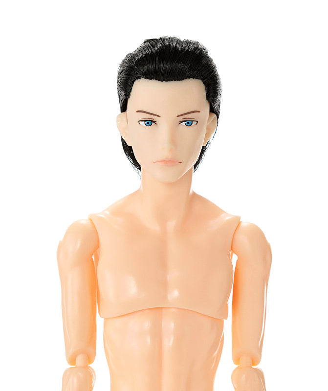 One-sixth scale Boys & Male Album, Sixties, NINE/ 六分の一男子図鑑 シックスティーズ ナイン