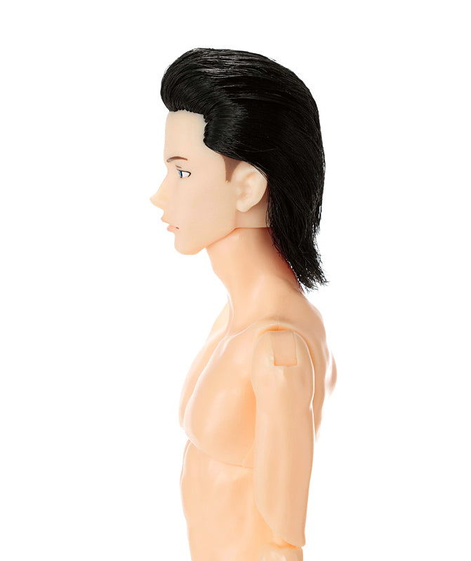 One-sixth scale Boys & Male Album, Sixties, NINE/ 六分の一男子図鑑 シックスティーズ ナイン