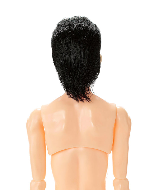 One-sixth scale Boys & Male Album, Sixties, NINE/ 六分の一男子図鑑 シックスティーズ ナイン