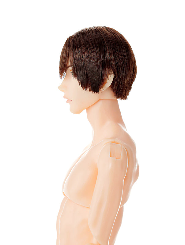 One-sixth scale Boys & Male Album, B2302 NINE / 六分の一男子図鑑 B2302 ナイン