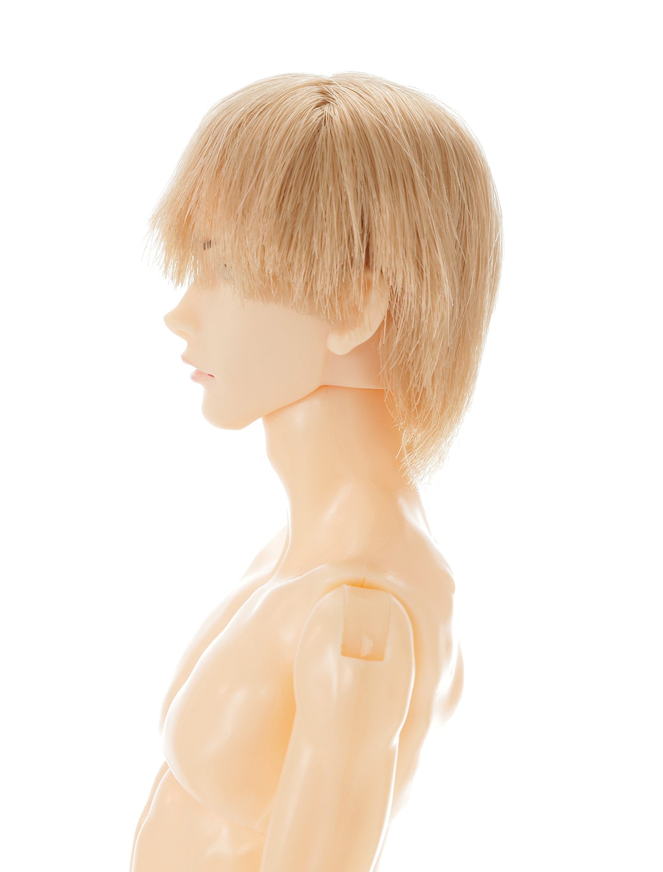 PetWORKs Boys, Botanical, NINE / 六分の一男子図鑑 ボタニカル ナイン