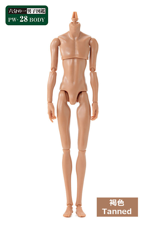 PetWORKs Boys, PW-28BODY, Tanned / 六分の一男子図鑑 PW-28BODY 褐色