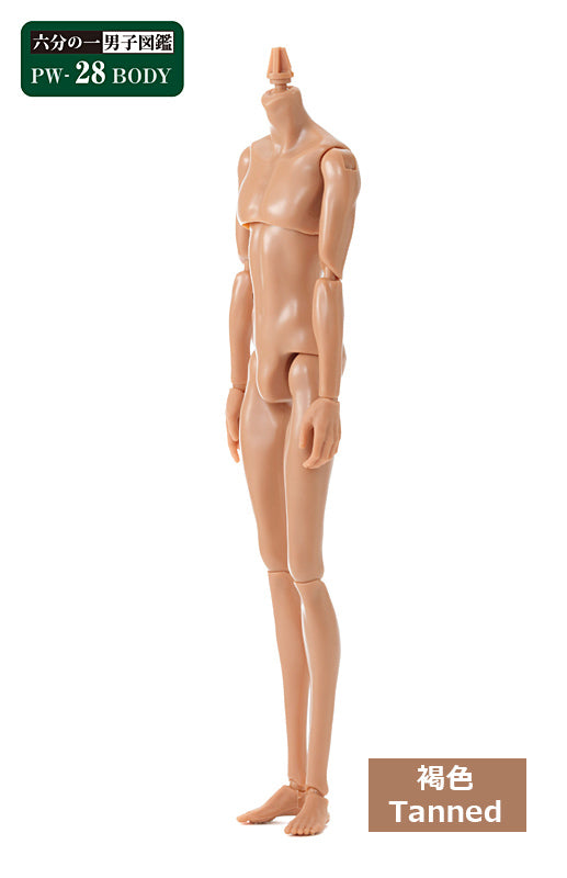 PetWORKs Boys, PW-28BODY, Tanned / 六分の一男子図鑑 PW-28BODY 褐色