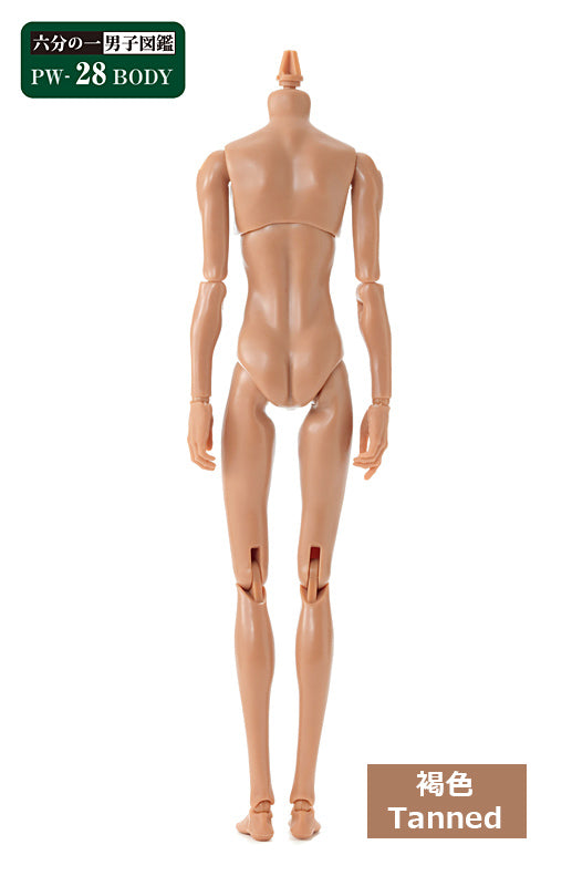 PetWORKs Boys, PW-28BODY, Tanned / 六分の一男子図鑑 PW-28BODY 褐色