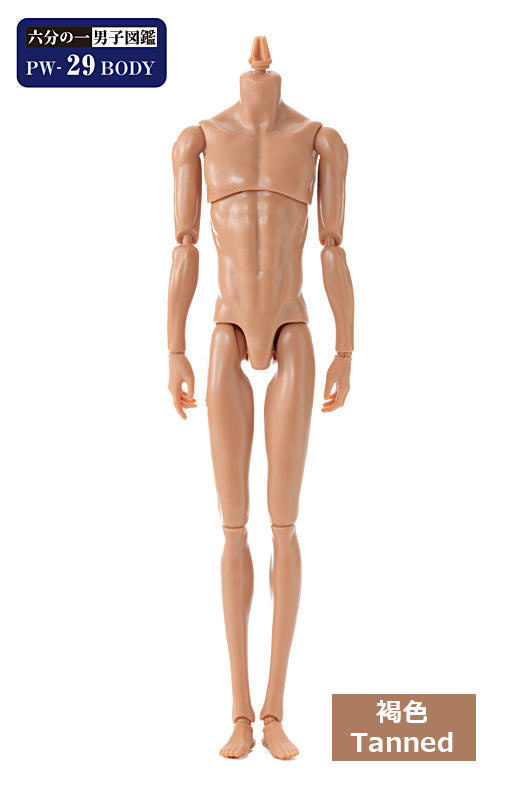 PetWORKs Boys, PW-29BODY, Tanned / 六分の一男子図鑑 PW-29BODY 褐色