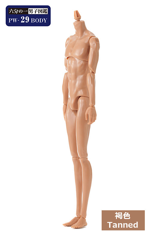 PetWORKs Boys, PW-29BODY, Tanned / 六分の一男子図鑑 PW-29BODY 褐色