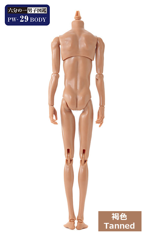 PetWORKs Boys, PW-29BODY, Tanned / 六分の一男子図鑑 PW-29BODY 褐色