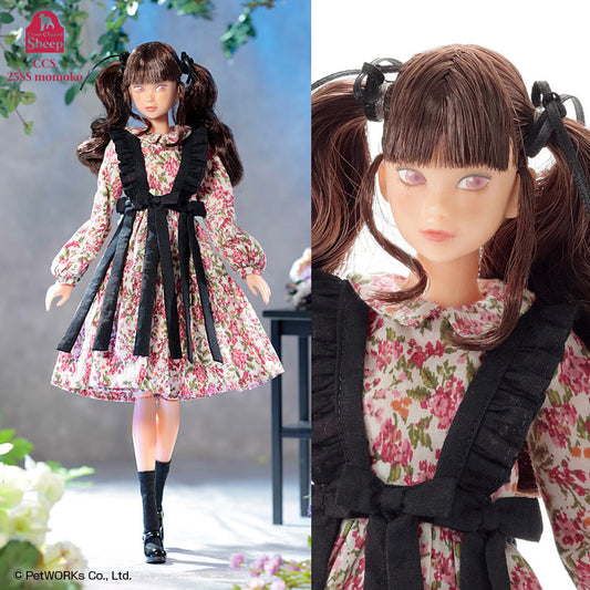 ”CCS 25SS momoko” to be released in Mar-May 2025