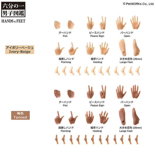 "Hands & Feet Set EX for PW Boys” Coming Dec 2026 - Feb 2027