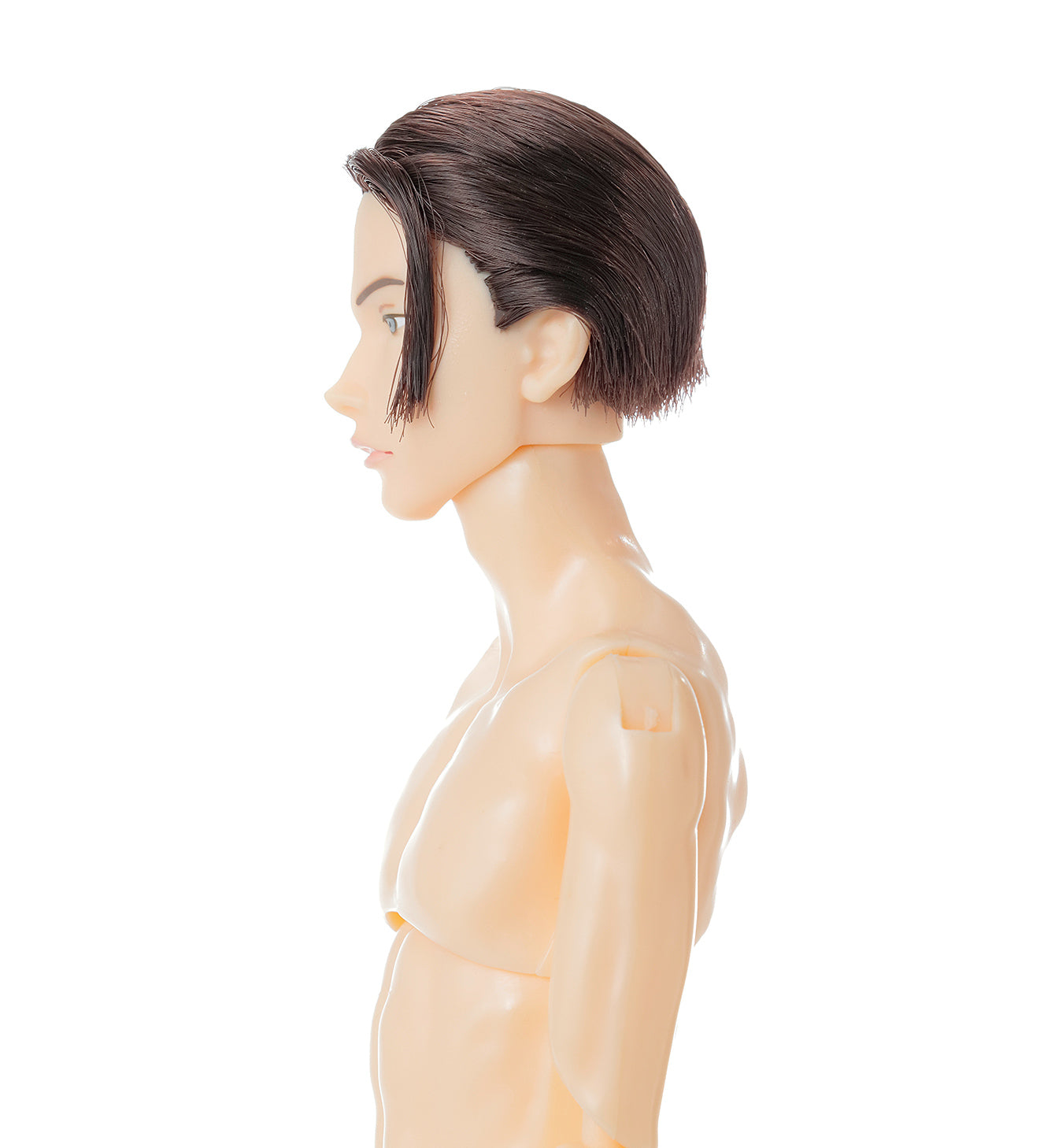 PetWORKs Boys, B2604 NINE / 六分の一男子図鑑 B2604 ナイン