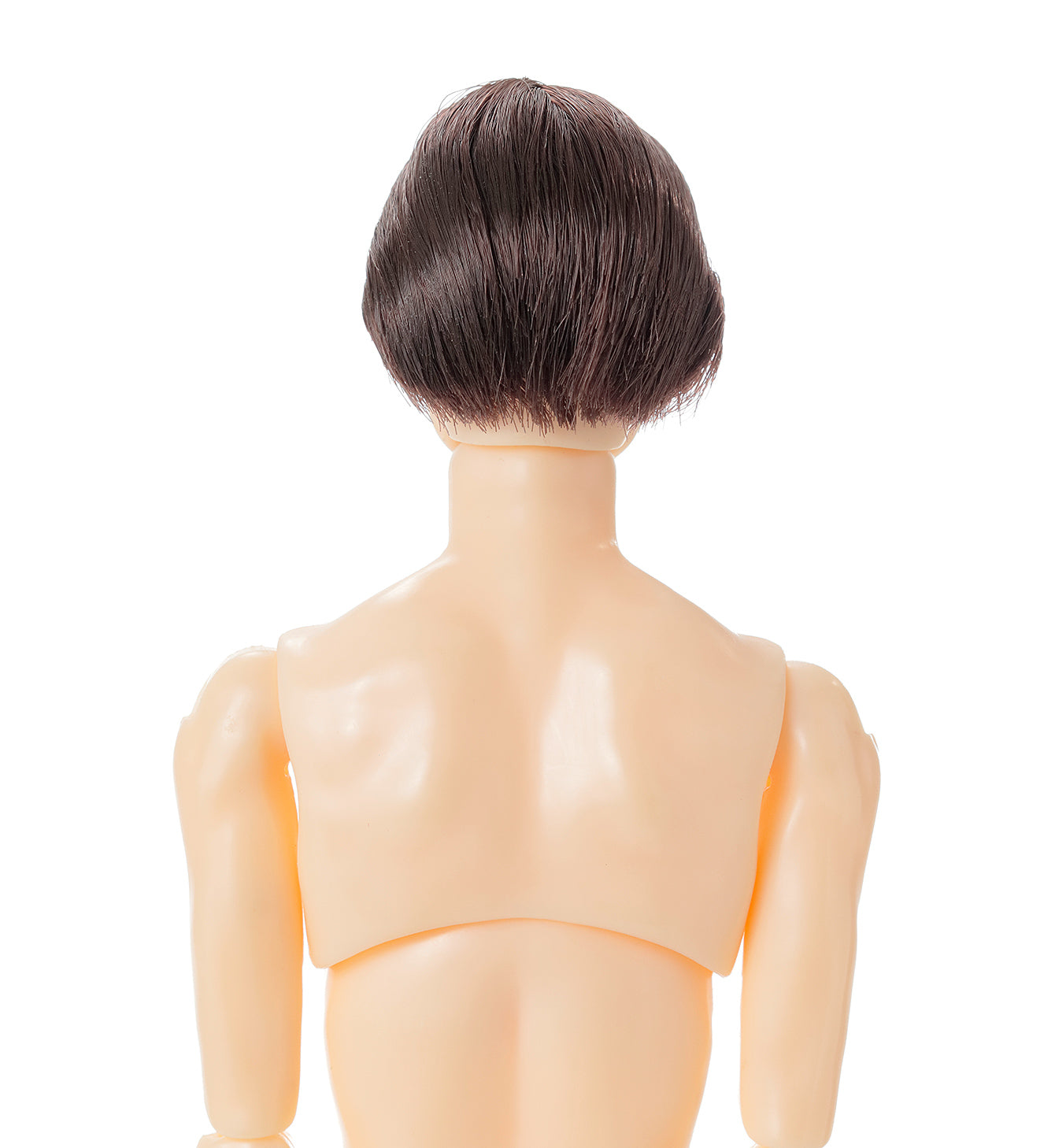 PetWORKs Boys, B2604 NINE / 六分の一男子図鑑 B2604 ナイン