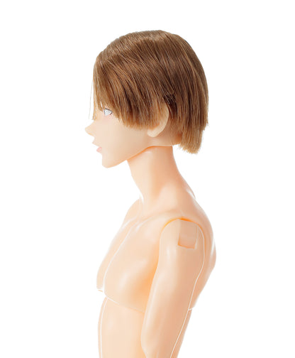 NEW★ PetWORKs Boys, B2608 EIGHT / 六分の一男子図鑑 B2608 エイト