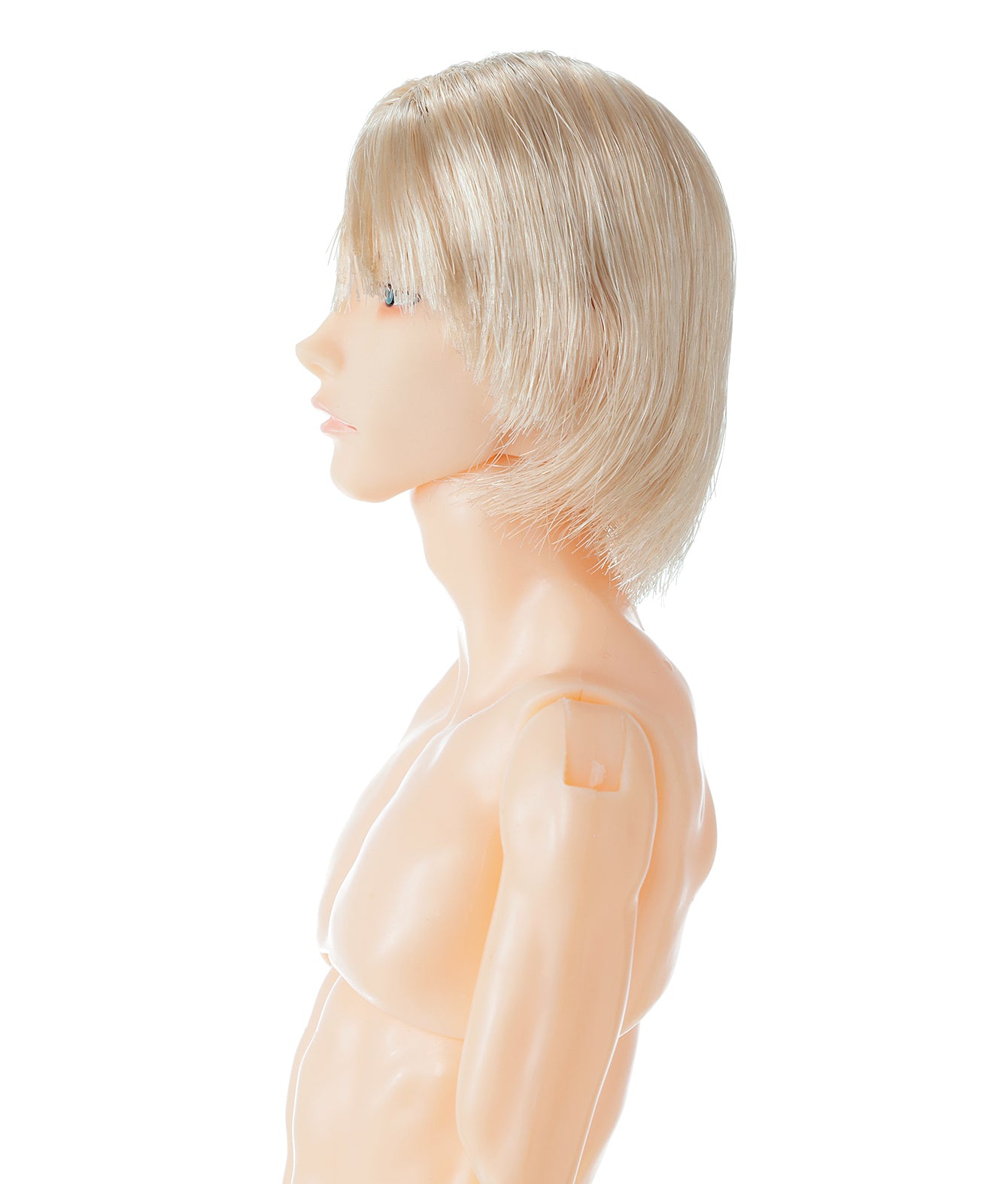 NEW★ PetWORKs Boys, B2608 NINE / 六分の一男子図鑑 B2608 ナイン
